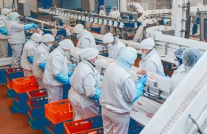 Workers in protective gear processing poultry in a food manufacturing facility with conveyor lines