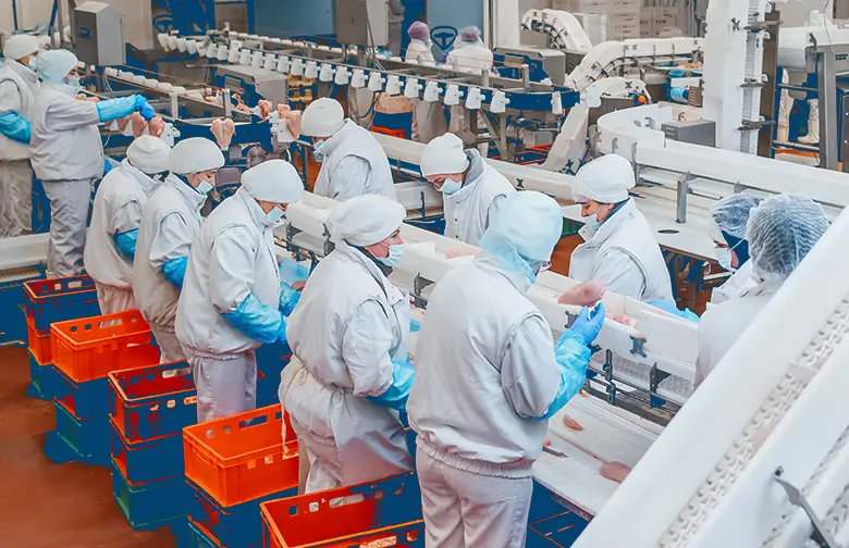 Workers in protective gear processing poultry in a food manufacturing facility with conveyor lines
